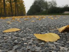 -汉长安城未央宫国家考古遗址公园