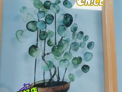 -安肯心理咨询(长宁旗舰店)
