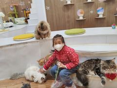 -COLOR PETS 撸猫馆·购猫·猫咖(长风大悦城店)