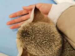 -萌兽医馆·犬猫专科·眼科中心·宠物医院(朝阳门分院)