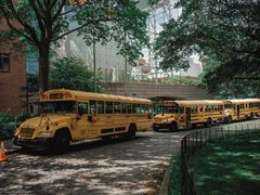 -美国自然历史博物馆