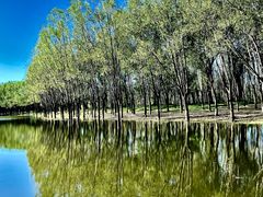 -东郊湿地公园