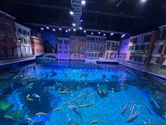 -华夏文旅海洋公园