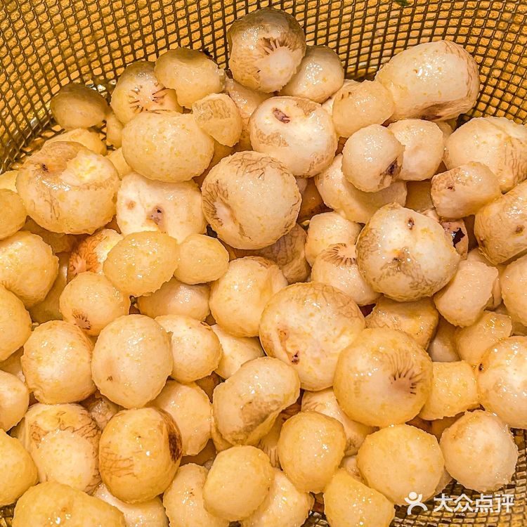 成都探店‼️这家花胶鸡太好吃了🔥新品绝了！