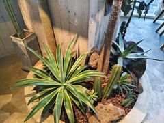 -漾花汐·西餐·下午茶(苏州湾歌林公园店)