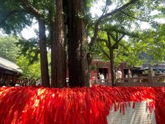 -红螺寺