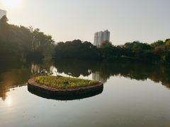 -人民公园(罗湖区)