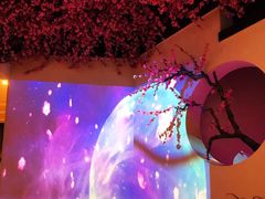 -花千醉拾季(雨花世茂店)
