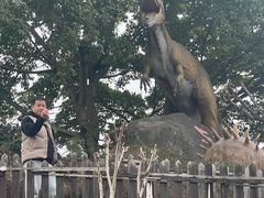 -自贡恐龙博物馆