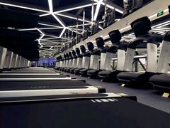 -金吉鸟健身游泳