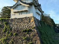 -名古屋城