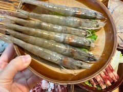 -阳阳老火锅(小南门店)