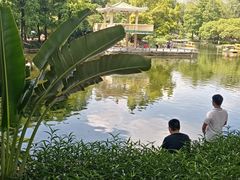 -晓港公园