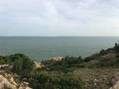 -广东惠东海龟国家级自然保护区