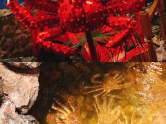 -綱元·海鲜豆捞(明州里店)