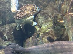 -成都浩海立方海洋公园