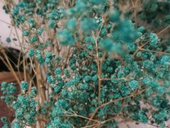 -INLOVE KTV(文一店)