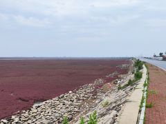 -红海滩国家风景廊道