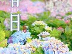 -广州市白云山风景名胜区