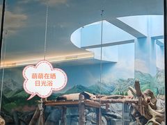 -武汉动物园