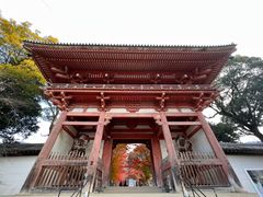 -醍醐寺
