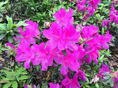 iphone_upload_pic-瞰胜楼