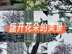 -宝龙广场(福州台江店)
