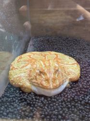 -Zoolung Zoolung动物主题公园(海信广场店)