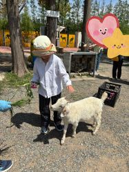 -前小桔亲子创意农场·草莓采摘·露营烧烤