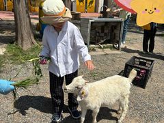 -前小桔亲子创意农场·草莓采摘·露营烧烤