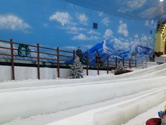 -世界之窗阿尔卑斯冰雪世界