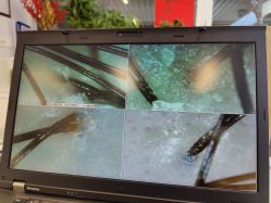 -章光101防脱养发荟