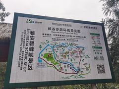 -老字号怡玺·藿香雅鱼(20年雅安店)