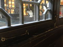 -猫的天空之城概念书店(杭州南宋御街店)