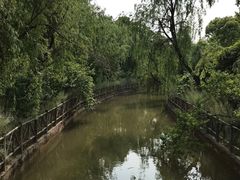-南汇桃花村