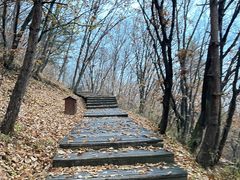 -帽儿山国家森林公园