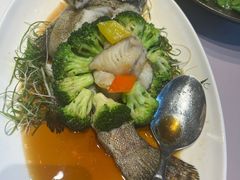 -陶陶居·雅园(凯华国际店)