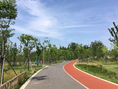 -上海长兴岛郊野公园