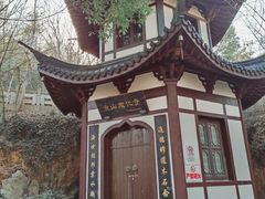 -上海佘山国家森林公园西佘山园