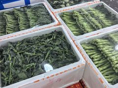 -深圳市海吉星国际农产品物流管理有限公司