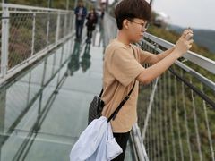 -铜川市金锁关石林