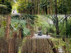 -同里国家湿地公园