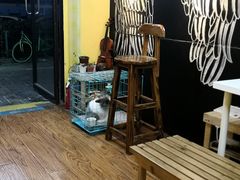-志龙皇冠吃货椰子铺