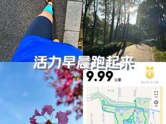 -昆山城市生态森林公园