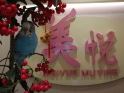 点击看大图 -美悦月子中心(财大店)