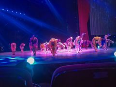 -水秀国际大剧院