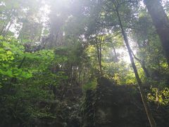 -梭布垭石林景区