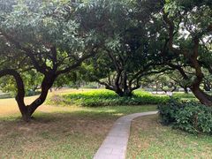 -荔香公园