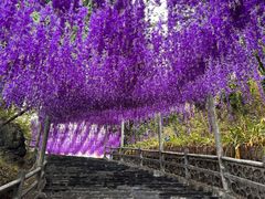 -玉石林风景区