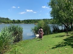 -上海长兴岛郊野公园